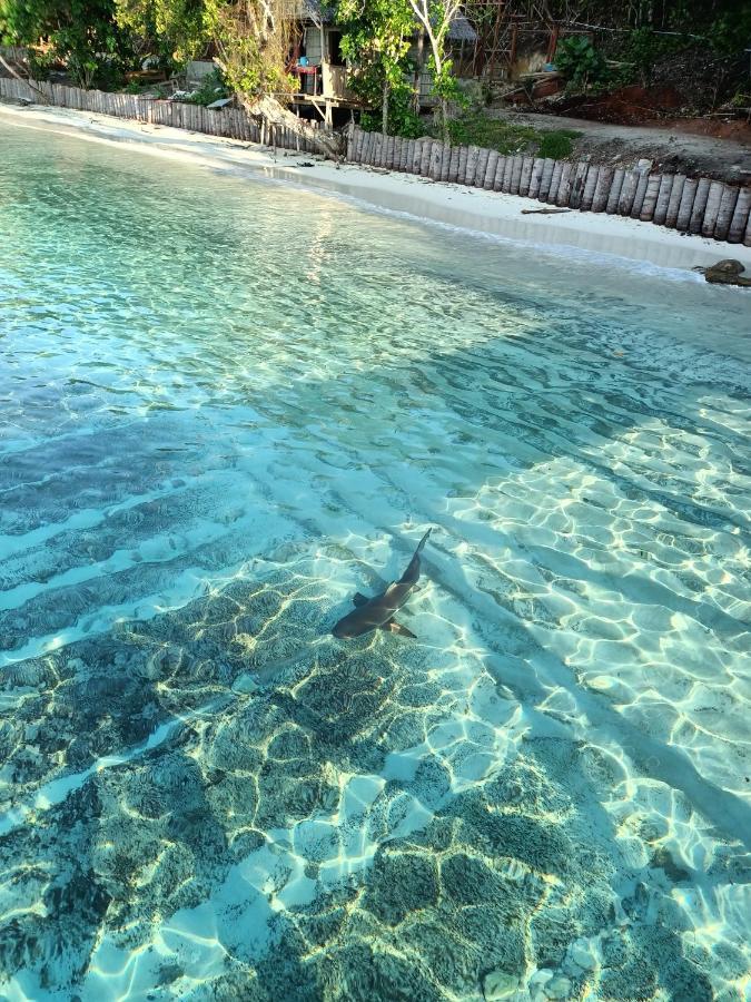 Warahnus Dive Homestay Kri 외부 사진