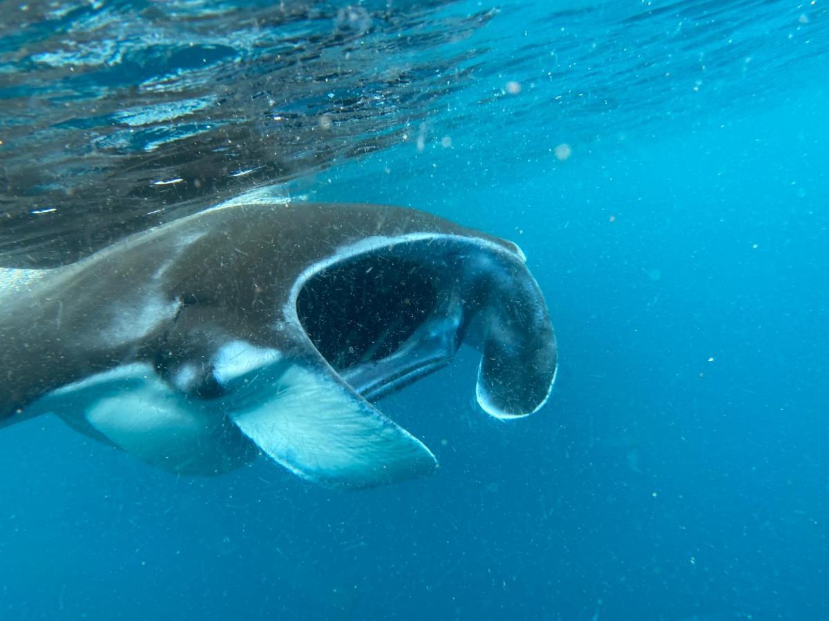 Warahnus Dive Homestay Kri 외부 사진